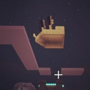 Meet your Posher, Isaiah